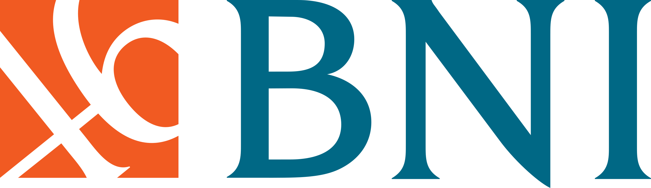 BNI_logo.svg.png
